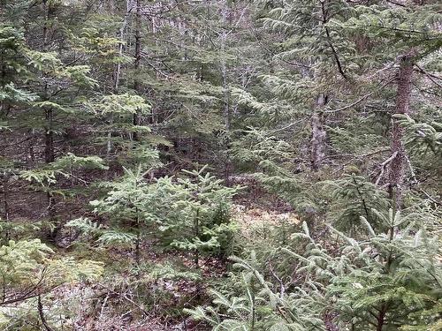 Lot 2022-2 Country Harbour Road, Cross Roads Country Harbour, NS 