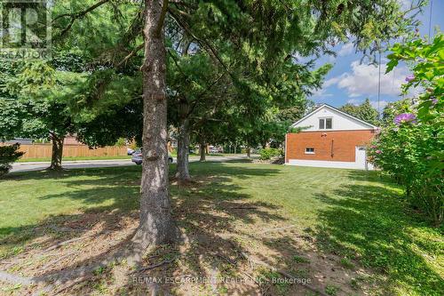 40 Robroy Avenue, Hamilton (Corman), ON - Outdoor