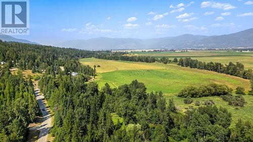 876 Balsam Road, Creston, BC - Outdoor With View