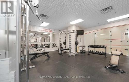 814 - 250 Manitoba Street, Toronto, ON - Indoor Photo Showing Gym Room