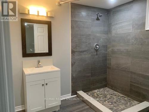 Bsmt - 378 Torrance Street, Burlington, ON - Indoor Photo Showing Bathroom