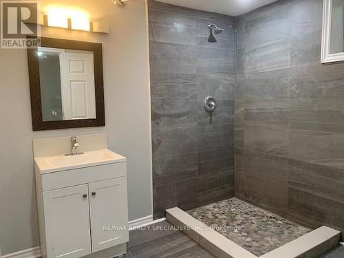 Bsmt - 378 Torrance Street, Burlington, ON - Indoor Photo Showing Bathroom