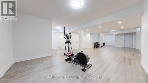 23 Snap Dragon Trail, East Gwillimbury, ON - Indoor Photo Showing Gym Room