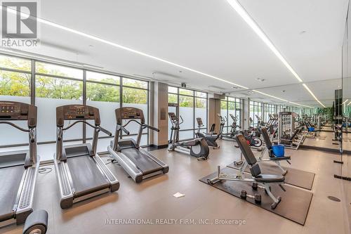 303 - 52 Forest Manor Road, Toronto, ON - Indoor Photo Showing Gym Room