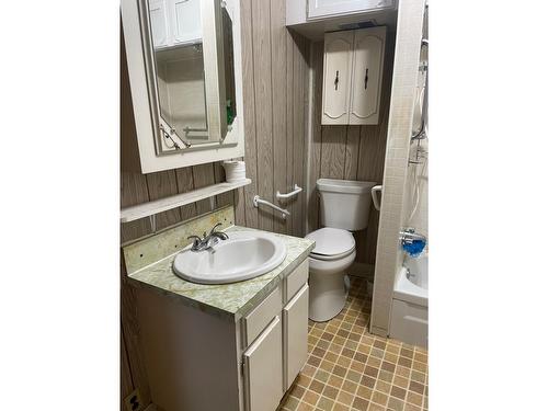 230 Beaver Street, Fernie, BC - Indoor Photo Showing Bathroom