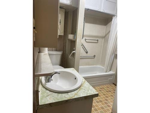 230 Beaver Street, Fernie, BC - Indoor Photo Showing Bathroom