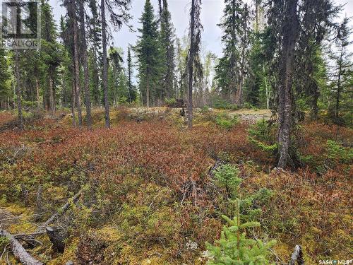 #5 Lookout Road, Jan Lake, SK - Outdoor With View