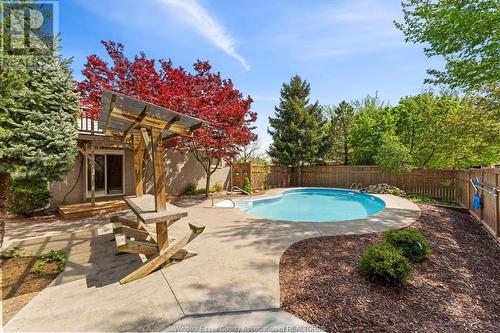 338 St. Simon, Belle River, ON - Outdoor With In Ground Pool