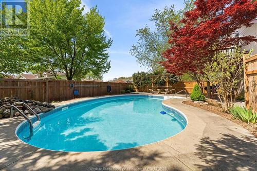 338 St. Simon, Belle River, ON - Outdoor With In Ground Pool With Backyard
