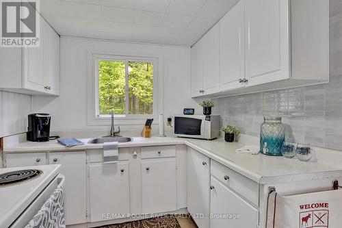 2743 Tedford Drive, Smith-Ennismore-Lakefield, ON - Indoor Photo Showing Kitchen