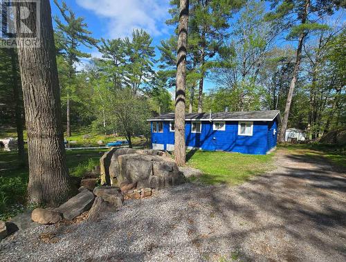 2743 Tedford Drive, Smith-Ennismore-Lakefield, ON - Outdoor