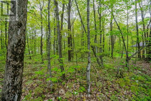 Lot 558 Forest Circle, Tiny, ON 
