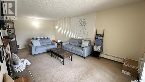 105 67 Rodenbush Drive, Regina, SK - Indoor Photo Showing Living Room