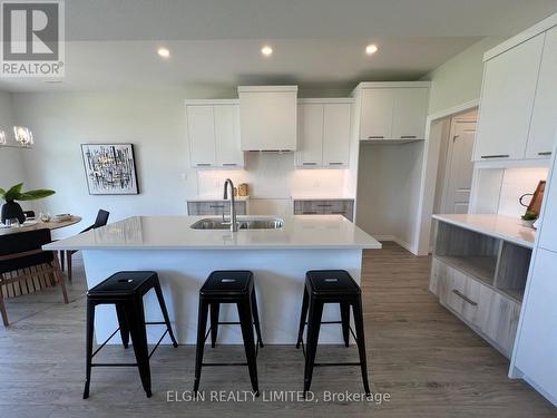 52 Braun Avenue, Tillsonburg, ON - Indoor Photo Showing Kitchen With Double Sink