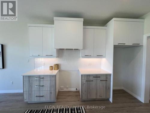 52 Braun Avenue, Tillsonburg, ON - Indoor Photo Showing Kitchen