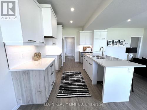 52 Braun Avenue, Tillsonburg, ON - Indoor Photo Showing Kitchen With Double Sink With Upgraded Kitchen