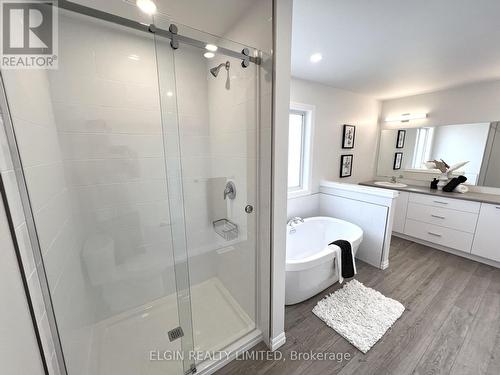 52 Braun Avenue, Tillsonburg, ON - Indoor Photo Showing Bathroom