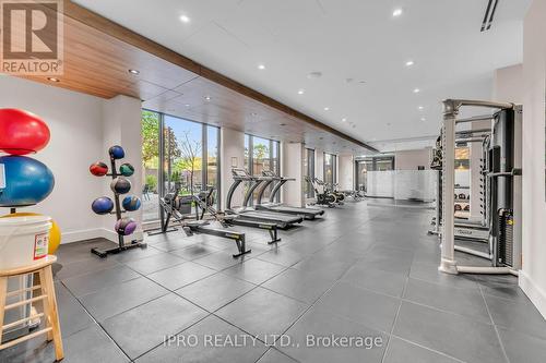 307 - 21 Park Street E, Mississauga, ON - Indoor Photo Showing Gym Room