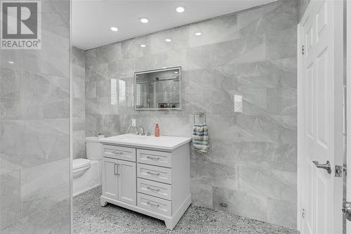 738 Bensette, Windsor, ON - Indoor Photo Showing Bathroom