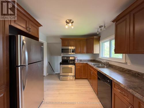 336 Victoria Avenue, Belleville, ON - Indoor Photo Showing Kitchen With Double Sink