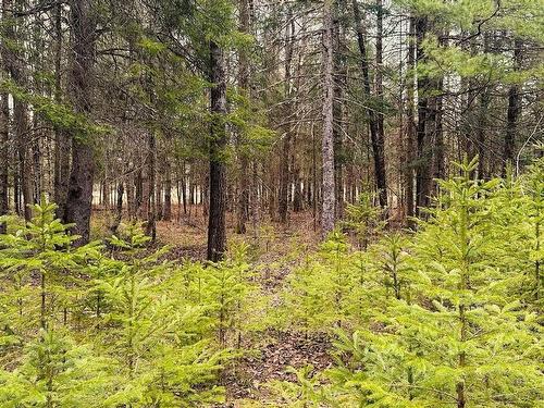 Land/Lot - Route 327, Harrington, QC 