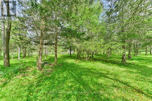 370 Cunningham Road, Prince Edward County, ON - Outdoor