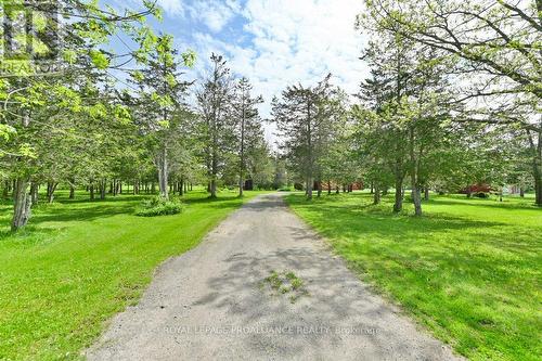 370 Cunningham Road, Prince Edward County, ON - Outdoor
