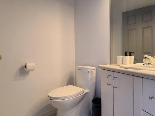 Salle d'eau - 834 Rue Bougainville, Repentigny (Repentigny), QC - Indoor Photo Showing Bathroom