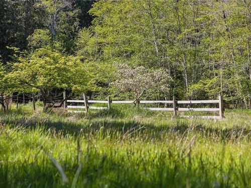 6055 Maclean Rd, Hornby Island, BC - Outdoor With View