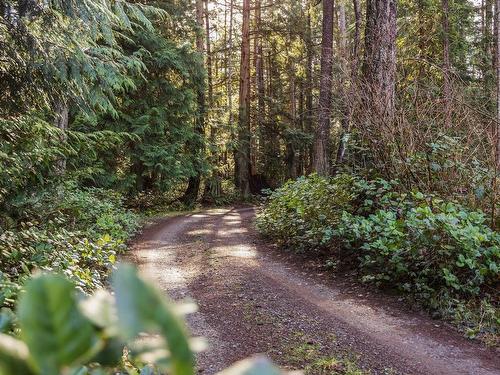 6055 Maclean Rd, Hornby Island, BC - Outdoor With View