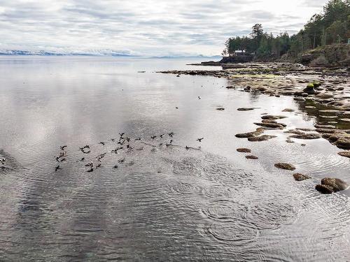 6055 Maclean Rd, Hornby Island, BC - Outdoor With Body Of Water With View