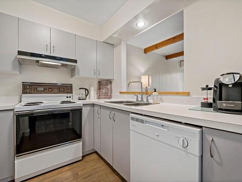 Cuisine - 481-211 Ch. De Lac-Tremblant-Nord, Mont-Tremblant, QC - Indoor Photo Showing Kitchen With Double Sink