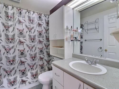 Salle de bains - 8505A Av. Lespérance, Québec (Les Rivières), QC - Indoor Photo Showing Bathroom