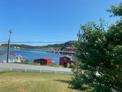 100 Mountainview Road, Salvage, NL 