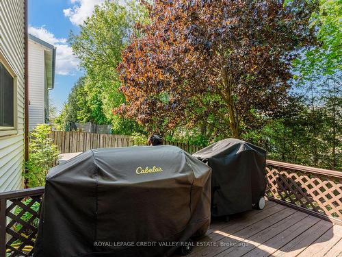 33 Briarlea Rd, Guelph, ON - Outdoor With Deck Patio Veranda