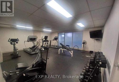 233 - 2095 Roche Court, Mississauga, ON - Indoor Photo Showing Gym Room