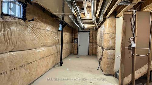 242 Palace Street, Thorold, ON - Indoor Photo Showing Basement