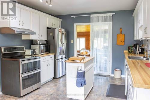 46 South Baptiste Lake Road, Hastings Highlands, ON - Indoor Photo Showing Kitchen With Double Sink