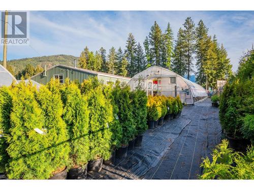 2811 Popoff Road, South Slocan, BC 