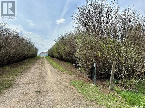 Holbein North Acreage, Shellbrook Rm No. 493, SK - Outdoor With View