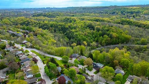 19 Terrace Drive, Hamilton, ON - Outdoor With View