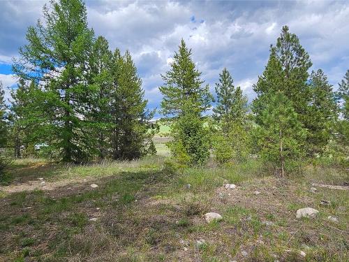5335 Canyon Road, Rock Creek, BC - Outdoor With View