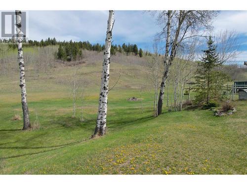 4221 Lodge Road, Lac La Hache, BC - Outdoor With View
