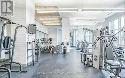 508 - 181 Wynford Drive, Toronto, ON - Indoor Photo Showing Gym Room