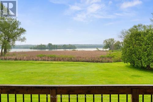 31 Dorthy Drive, Quinte West, ON - Outdoor With View