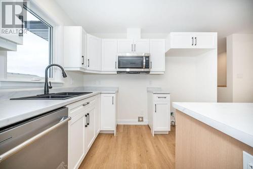 20 Durant Street, Petawawa, ON - Indoor Photo Showing Kitchen With Double Sink