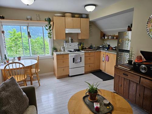 320 Chatham Street, Nelson, BC - Indoor Photo Showing Kitchen