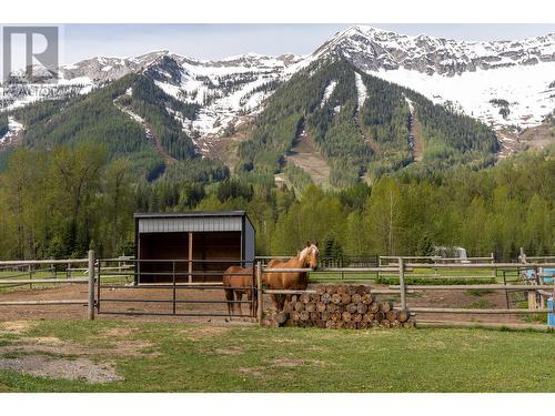 4103 Hill Road, Fernie, BC - Outdoor With View