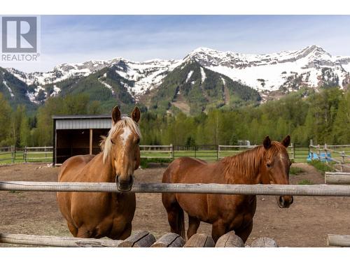 4103 Hill Road, Fernie, BC - Outdoor