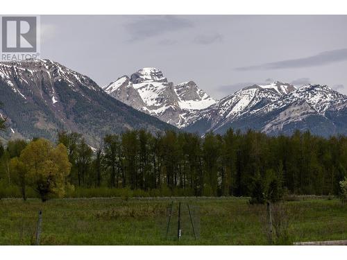 4103 Hill Road, Fernie, BC - Outdoor With View